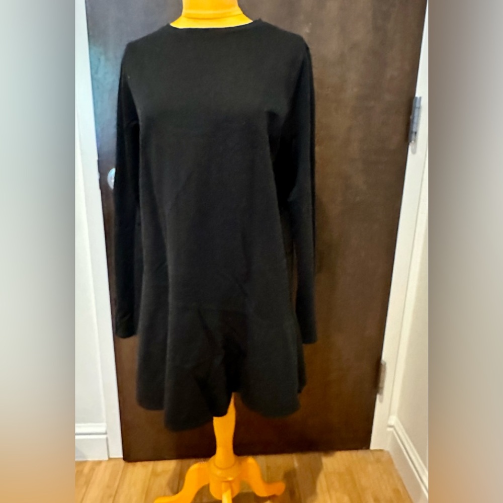 Zara Trafalgar women cotton long sleeve mini dress sz L